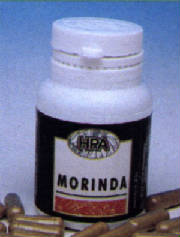 morinda.jpg