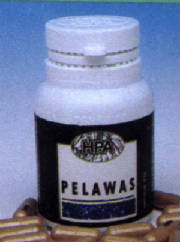 pelawas.jpg